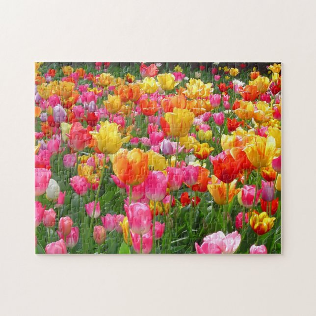 Gelbe rosa Tulpen des orange Rotes Puzzle (Horizontal)