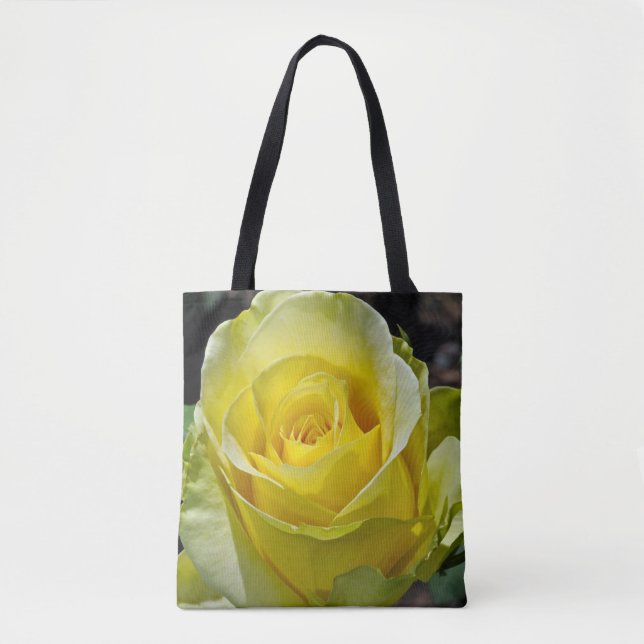 Gelbe Rose (Vorderseite)