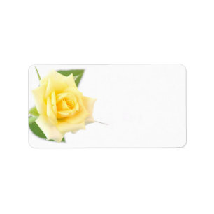 Gelbe Rose Adressaufkleber