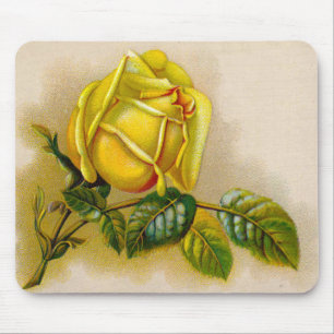 Gelbe Rose Antik Vintage-Druck Fine Art Mousepad