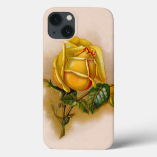 Gelbe Rose Antike Vintage Druckkunst iPhone 13 Hülle