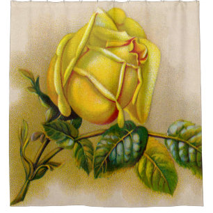 Gelbe Rose Antike Vintage Druckkunst Duschvorhang