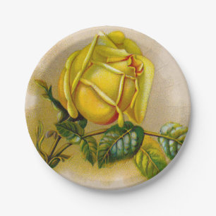 Gelbe Rose Antike Vintage Druckkunst Pappteller