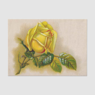 Gelbe Rose Antike Vintage Druckkunst Seidenpapier