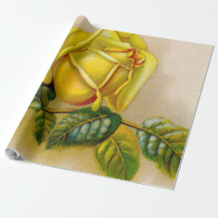 Gelbe Rose Antique Vintage Druck Fine Art Geschenkpapier