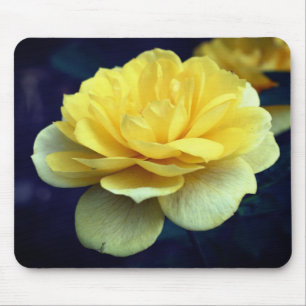 Gelbe Rose-Blume Mousepad