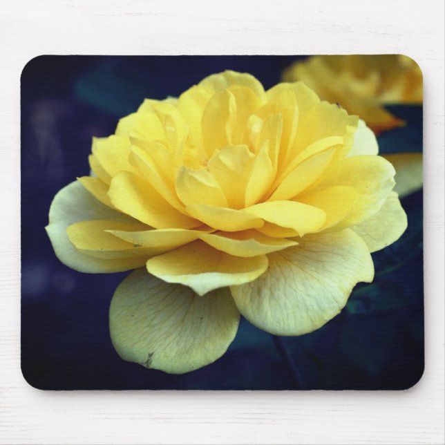 Gelbe Rose-Blume Mousepad (Vorne)