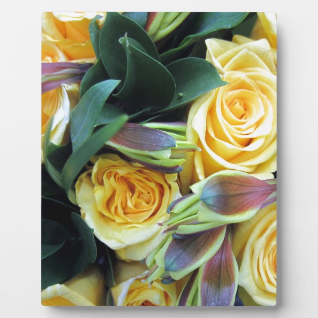 Gelbe Rose Buds Fotoplatte (Vorderseite)