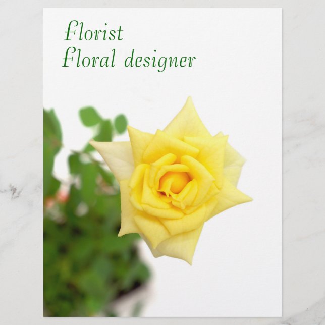 Gelbe Rose Flyer (Vorne)