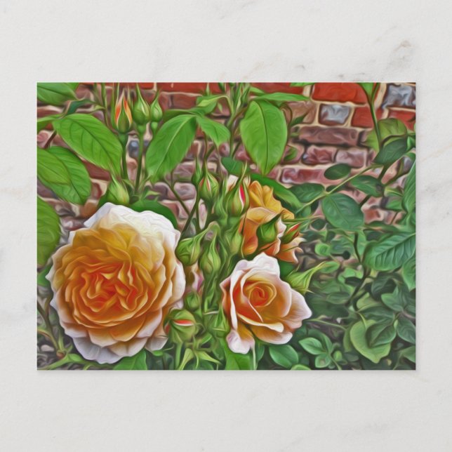 Gelbe Rose in Hampton Court Garden Postkarte (Vorderseite)