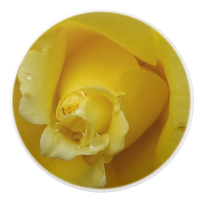 Gelbe Rose Keramik Pull Keramikknauf (Vorderseite)