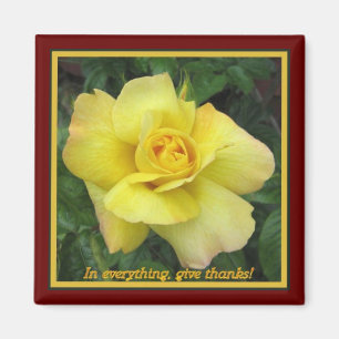 Gelbe Rose Magnet