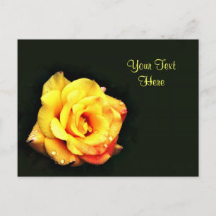 Gelbe Rose mit Regentropfen Postkarte