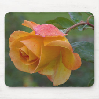 Gelbe Rose Mousepad