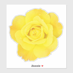 Gelbe Rose Nationaler Freundschaftstag Florale Blu Aufkleber