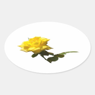 Gelbe Rose Ovaler Aufkleber
