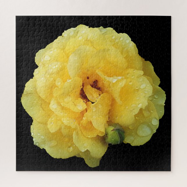 GELBE ROSE  PUZZLE (Vertikal)