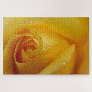 Gelbe Rose Rätsel Puzzle