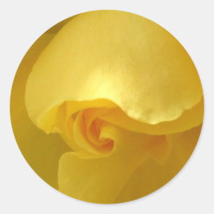 Gelbe Rose Runder Aufkleber