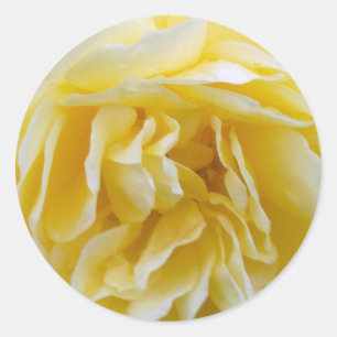 Gelbe Rose Runder Aufkleber