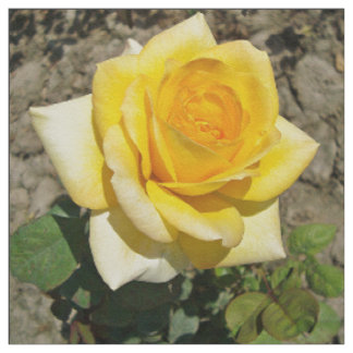 Gelbe Rose Stoff