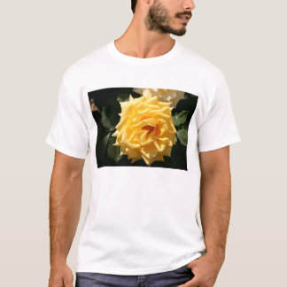 Gelbe Rose T-Shirt