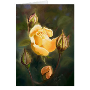 Gelbe Rose und Knospen