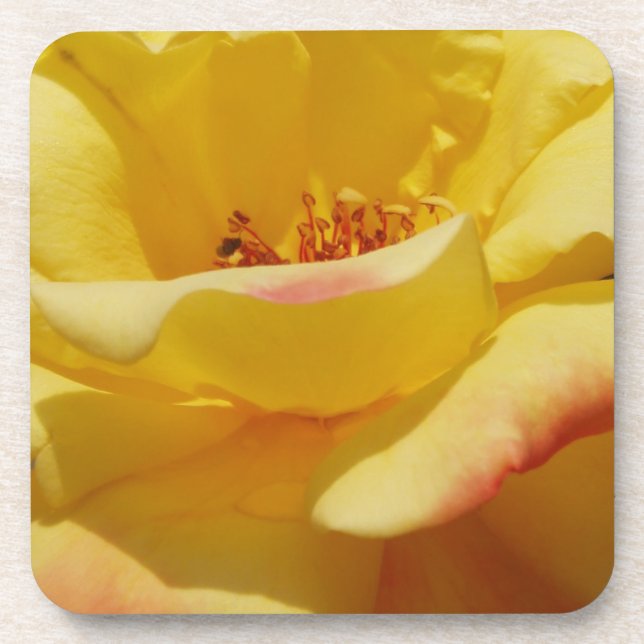 Gelbe Rose Untersetzer (Vorderseite)