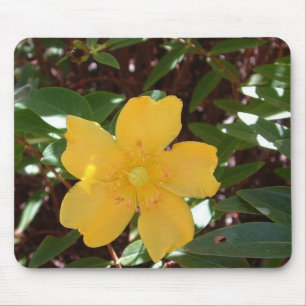 Gelbe Rose von Sharon Mousepad