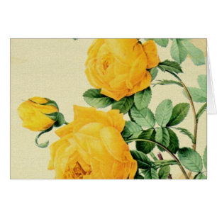 Gelbe Rosen