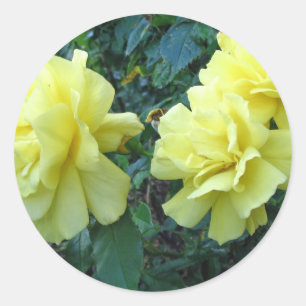 Gelbe Rosen-Blume Runder Aufkleber