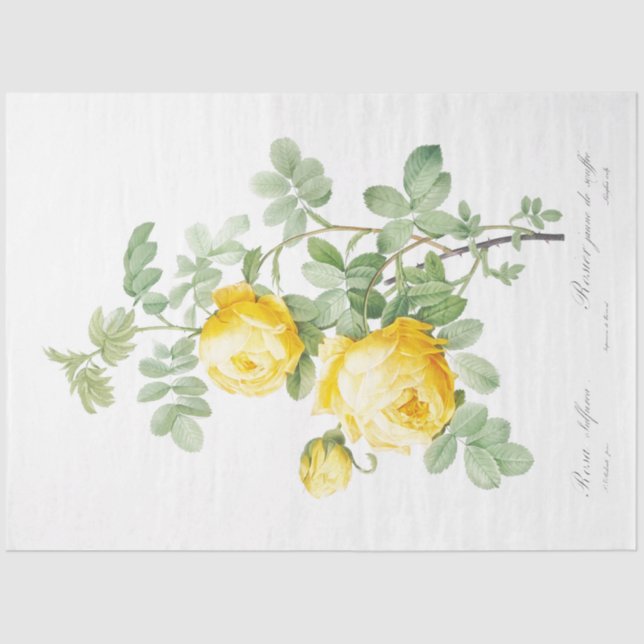 Gelbe Rosen Floral Ephemere Decoupage Seidenpapier (Vorderseite)