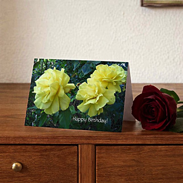 Gelbe Rosen Geburtskarte Karte (Von Creator hochgeladen)