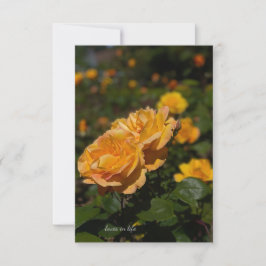 Gelbe Rosen Mitteilungskarte