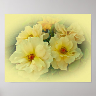 Gelbe Rosen Poster