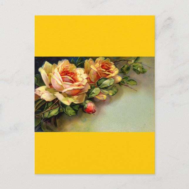 Gelbe Rosen Postkarte (Vorderseite)