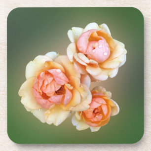 Gelbe Rosen Untersetzer