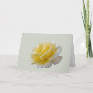 Gelbe Rosenblätter Karte