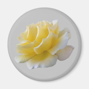 Gelbe Rosenblätter Magnet