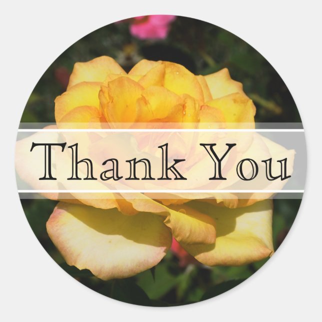 Gelbe Rosenblütenpfeffer Runder Aufkleber (Vorderseite)