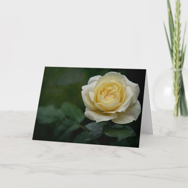 Gelbe Rosenkarte Karte (Vorderseite)