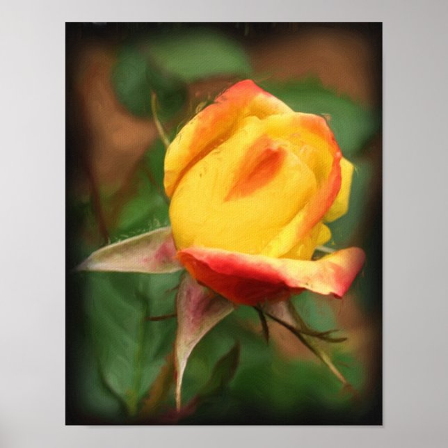Gelbe Rosenknospe Blume Art Foto Malerei Poster (Vorne)