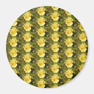 Gelbe Rosenknospe Magnet