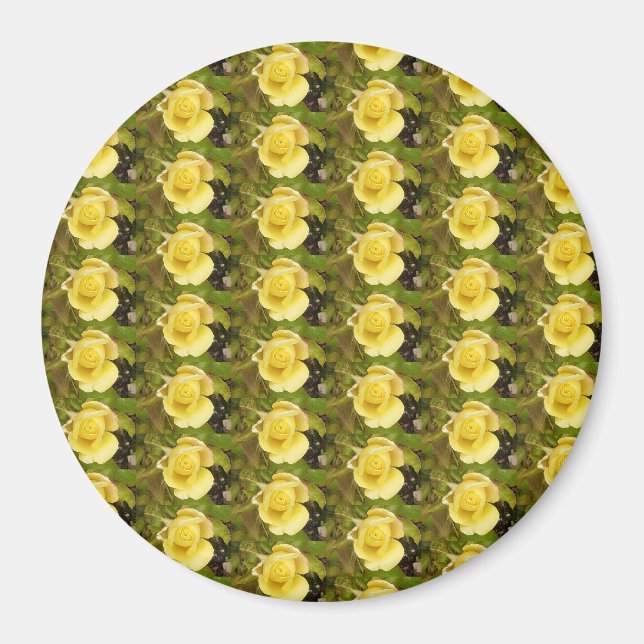 Gelbe Rosenknospe Magnet (Vorne)