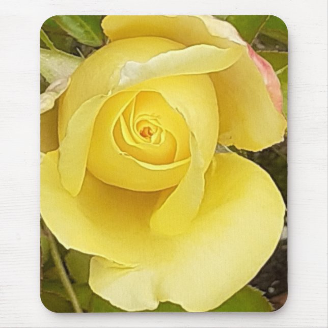 Gelbe Rosenknospe Mousepad (Vorne)