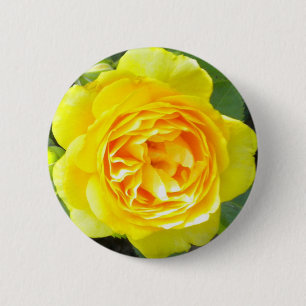 Gelbe Rosette Button