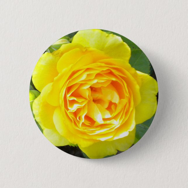 Gelbe Rosette Button (Vorderseite)