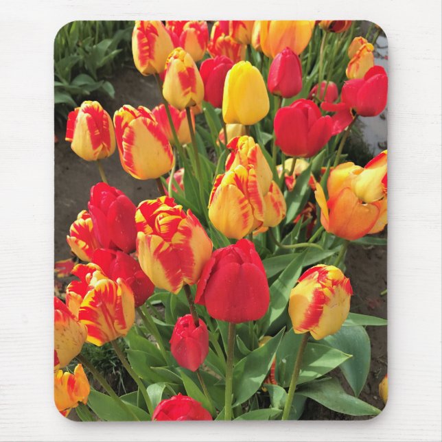 Gelbe & rote Tulpen Mousepad (Vorne)