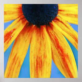 Gelbe Rudbeckia Blume Makro Abstrakt Poster