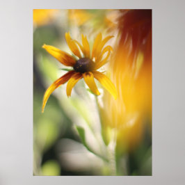 Gelbe Rudbeckia-Blume Poster